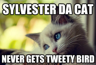 First World Cat Problems