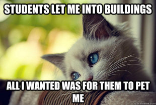 First World Cat Problems