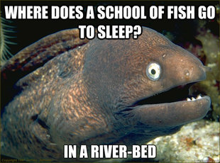 Bad Joke Eel