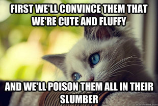 First World Cat Problems