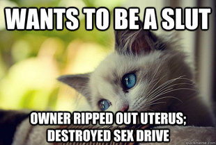 First World Cat Problems