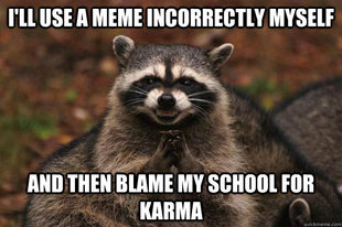 Evil Plotting Raccoon