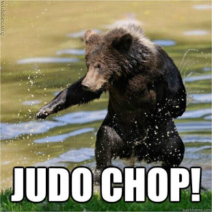 Karate Bear