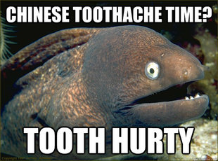 Bad Joke Eel