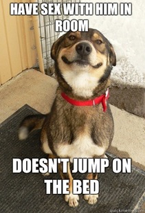 Good Dog Greg