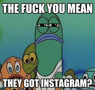 Serious fish SpongeBob