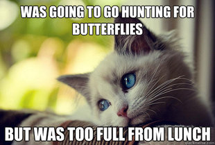 First World Cat Problems