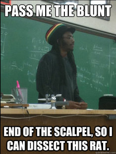 Rasta Science Teacher