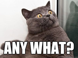 conspiracy cat