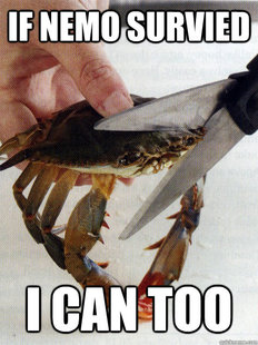 Optimistic Crab