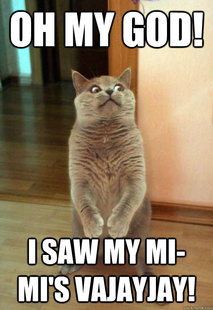 Horrorcat