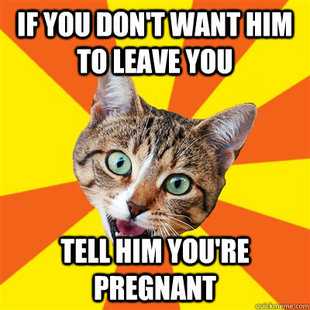 Bad Advice Cat