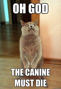 Horrorcat