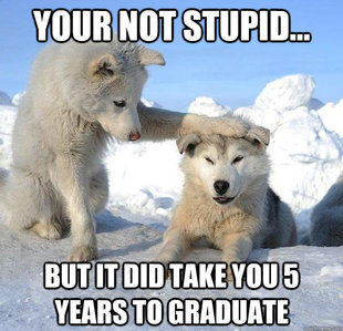 Caring Husky