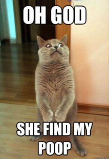 Horrorcat