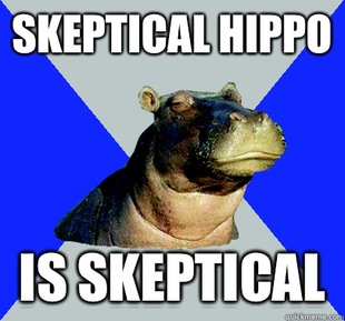Skeptical Hippo