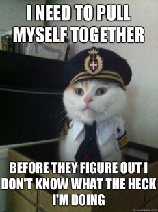 Captain kitteh