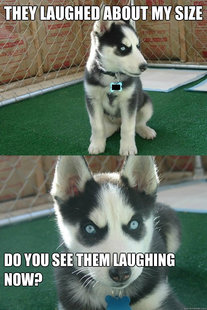 Insanity puppy