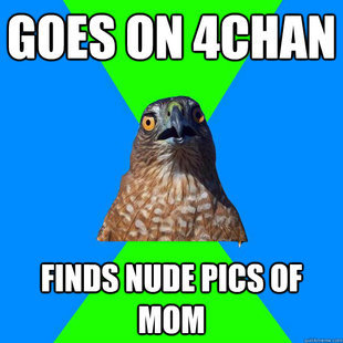 Hawkward