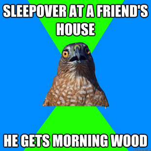 Hawkward