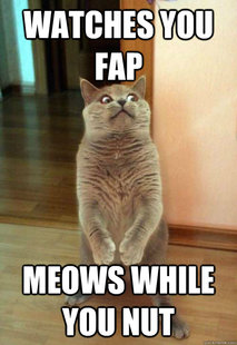 Horrorcat