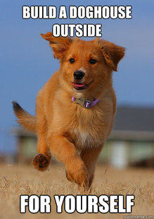 Ridiculously Photogenic Puppy