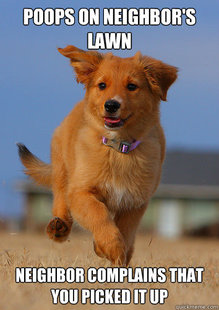 Ridiculously Photogenic Puppy