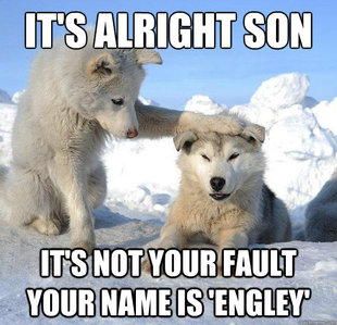 Caring Husky