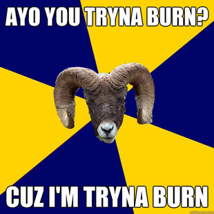 Suffolk Kid Ram
