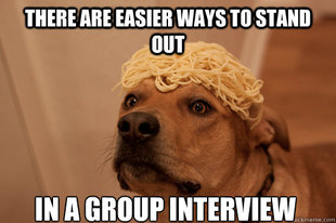 10 Dog