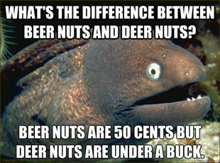 Bad Joke Eel