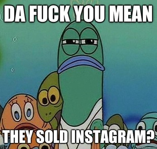 Serious fish SpongeBob