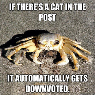 Confession Crab