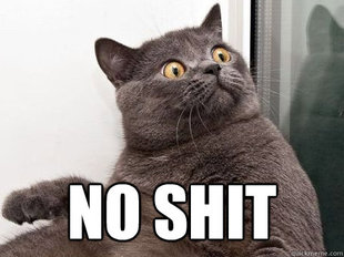 conspiracy cat