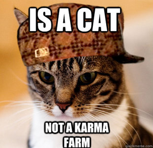 Scumbag Cat