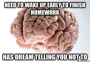 Scumbag Brain