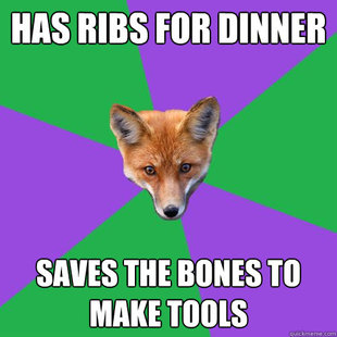 Anthropology Major Fox