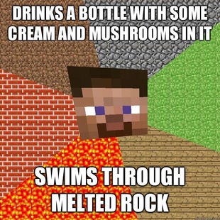 Minecraft