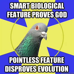 Religion Pigeon