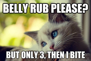 First World Cat Problems