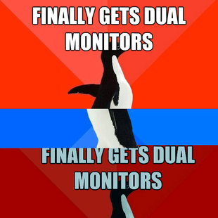 Socially Awesome Awkward Penguin