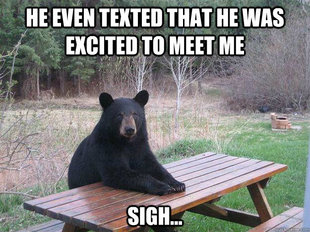 Bear of Bad News