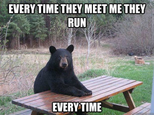 Bear of Bad News