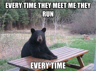 Bear of Bad News