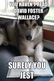Condescending Literary Pun Dog