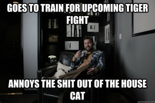 benevolent bro burnie