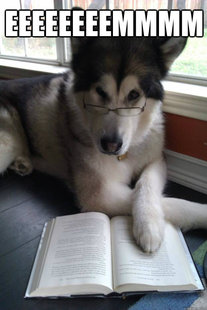 Condescending Literary Pun Dog