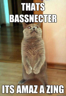 Horrorcat