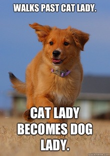 Ridiculously Photogenic Puppy