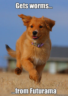 Ridiculously Photogenic Puppy